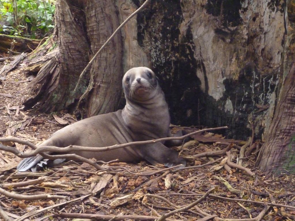 Вилла Kepplestone By The Sea - The Catlins New Haven Экстерьер фото